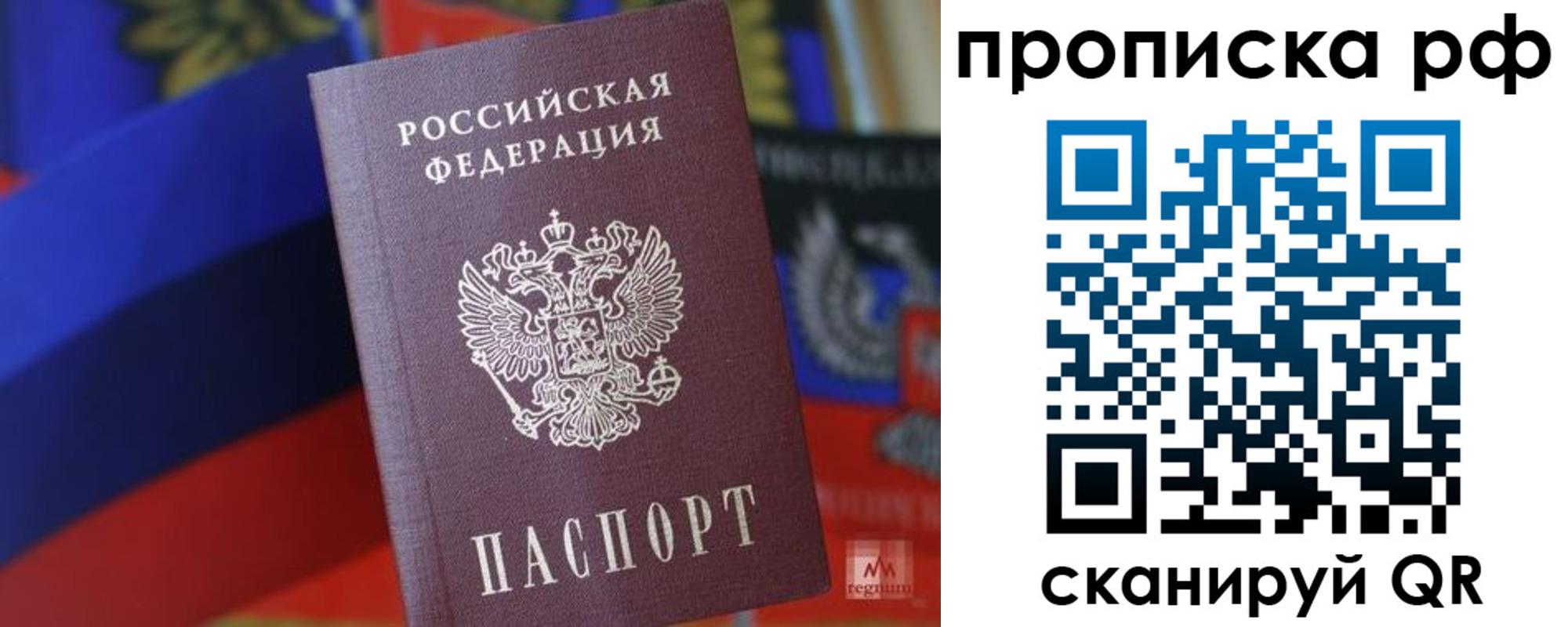 временная регистрация надежно в Белгородской области